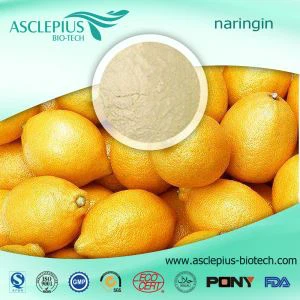Citrus Aurantium L Extract Powder Birgir Heildverslun /hesperidin Complex viðbót
